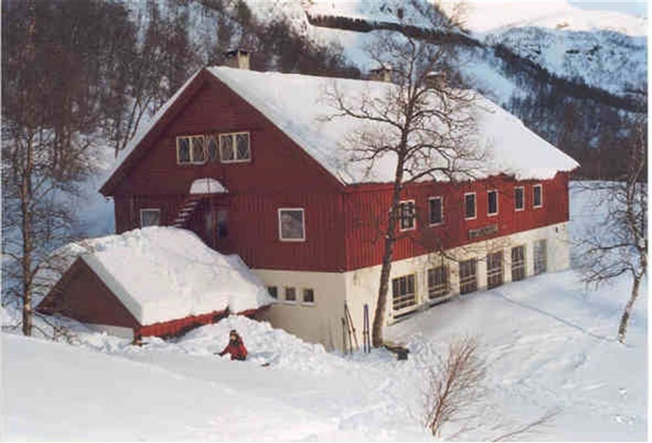 Katteli i snø