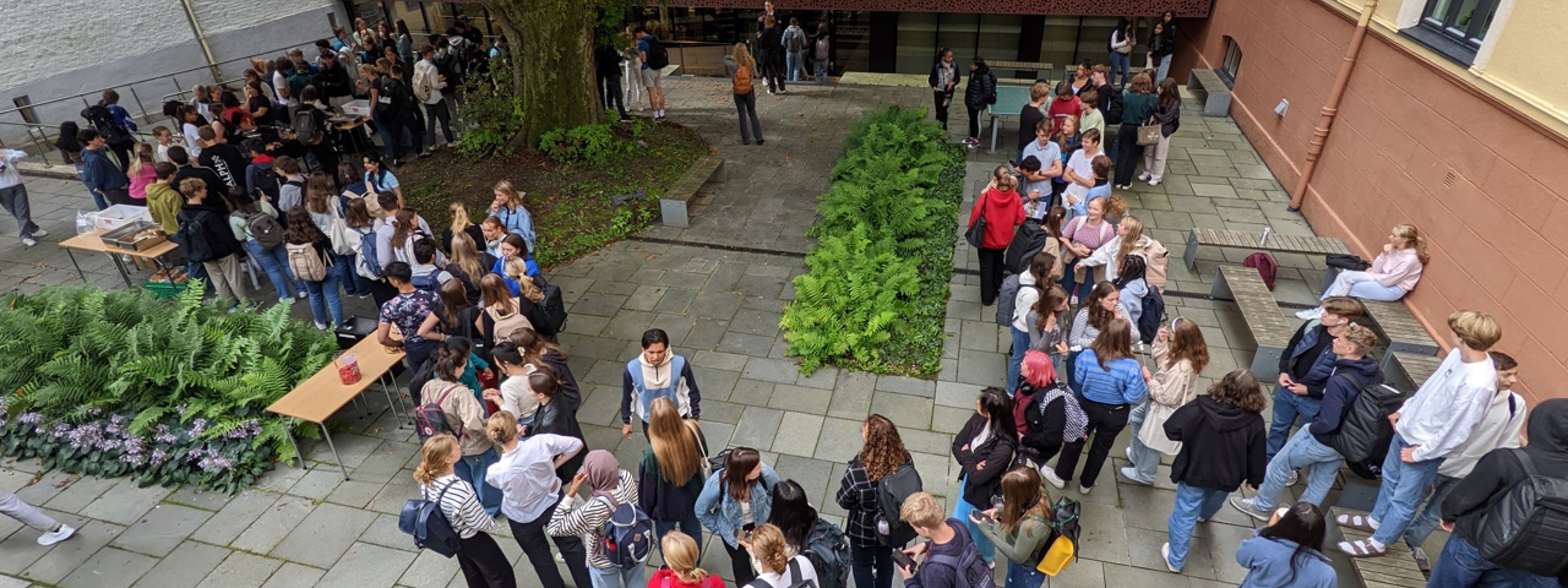 Gilling på skoleplassen